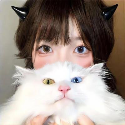 贞子大战伽椰子